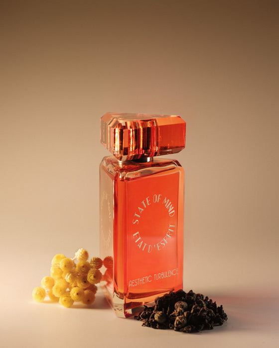 State of Mind Aesthetic Turbulence EDP Unisex 100 ml
