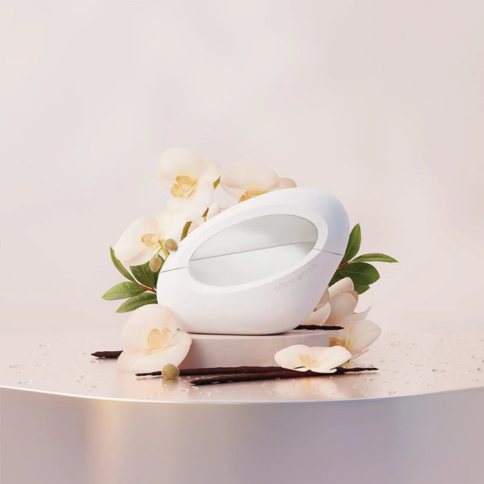 Ariana Grande Mod Vanilla EDP 100 ML